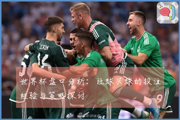 世界杯盘口分析：让球买球的投注经验与策略探讨