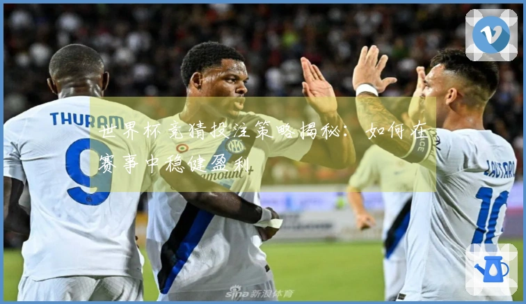 世界杯竞猜投注策略揭秘：如何在赛事中稳健盈利