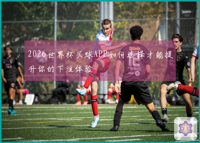 2026世界杯买球APP如何选择才能提升你的下注体验