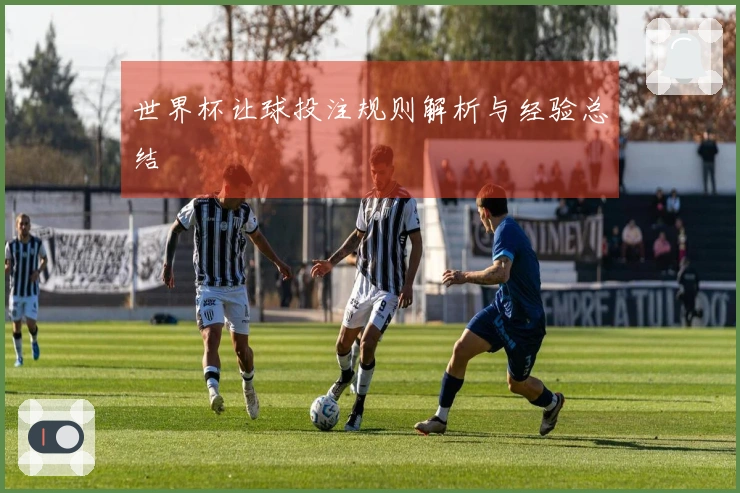 世界杯让球投注规则解析与经验总结