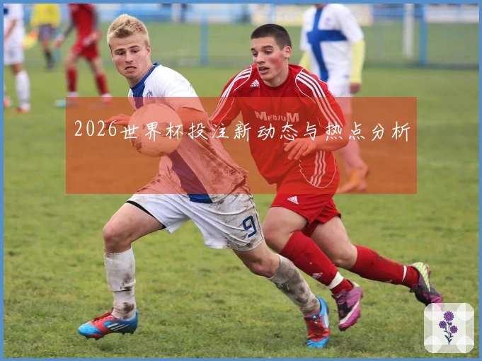 2026世界杯投注新动态与热点分析