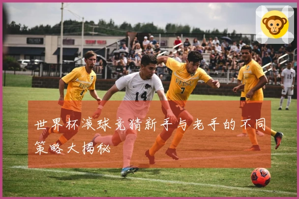 世界杯滚球竞猜新手与老手的不同策略大揭秘