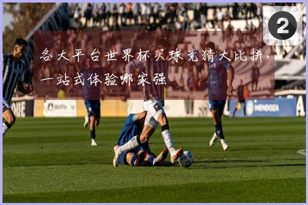 各大平台世界杯买球竞猜大比拼，一站式体验哪家强
