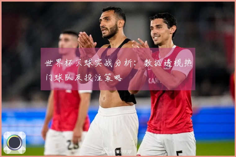 世界杯买球实战分析：数据透视热门球队及投注策略