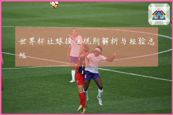 世界杯让球投注规则解析与经验总结