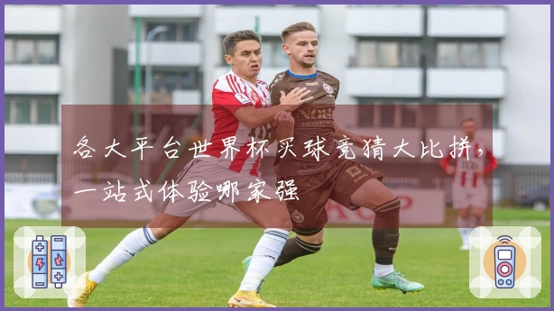 各大平台世界杯买球竞猜大比拼，一站式体验哪家强