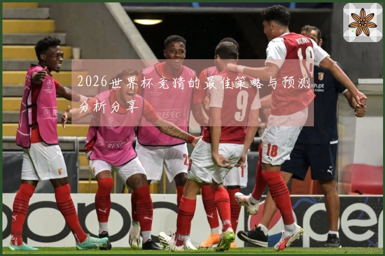 2026世界杯竞猜的最佳策略与预测分析分享