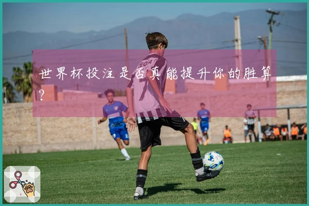 世界杯投注是否真能提升你的胜算？