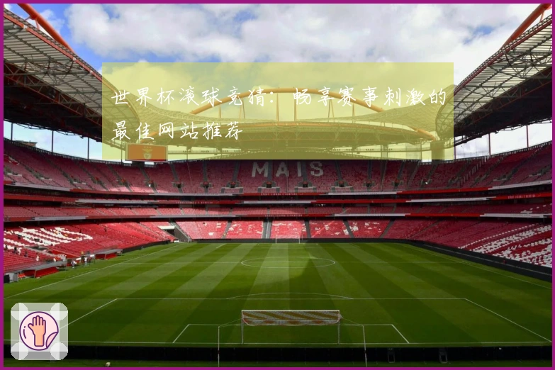 世界杯滚球竞猜：畅享赛事刺激的最佳网站推荐