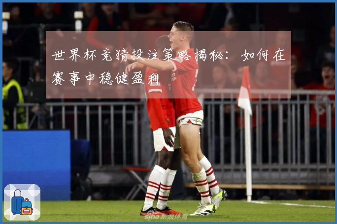 世界杯竞猜投注策略揭秘：如何在赛事中稳健盈利