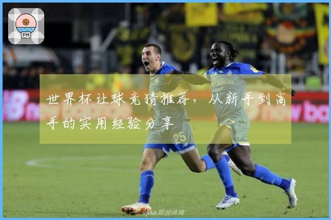 世界杯让球竞猜推荐，从新手到高手的实用经验分享